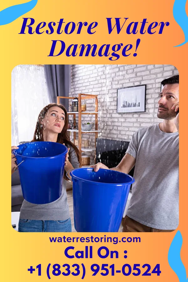 water restoration Trusted Sewage Cleanup Solutions Westfield