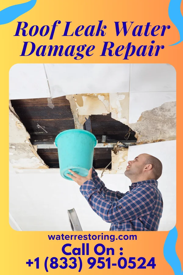 Roof Leak Water Damage Repair in Westfield, WI
